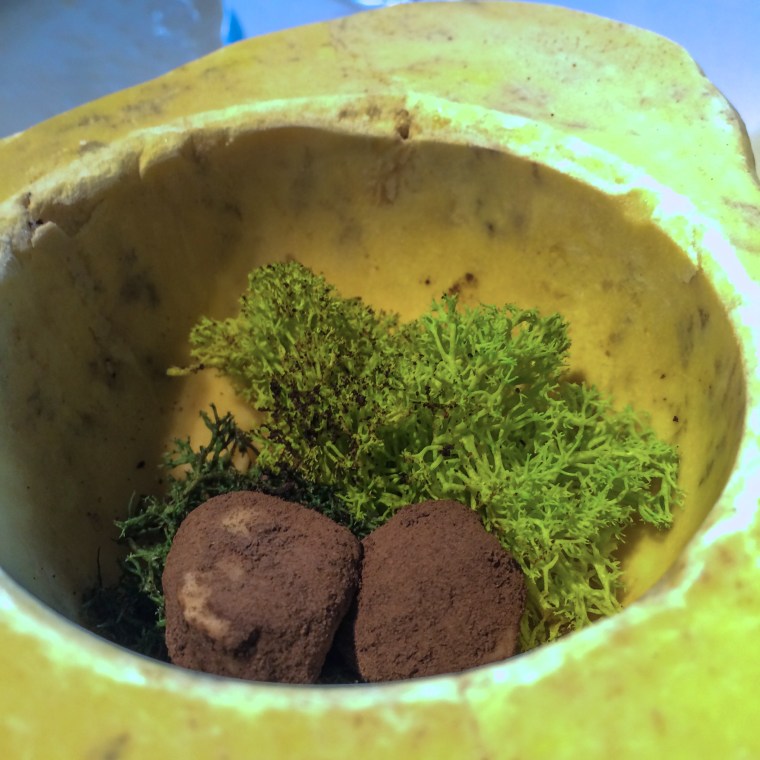 Bombon de trufa