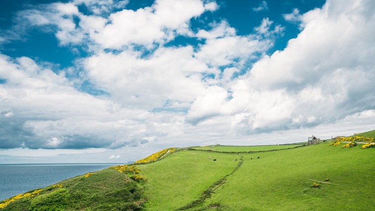 2017-04-29 ** Devon ** 030